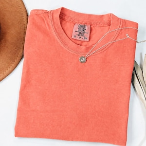 May include: A coral-colored short-sleeve t-shirt with a crew neckline. The interior neck label reads Comfort Colors, Heavyweight Garment Dye, 100% Cotton, Made in Honduras, S P CH. A thin silver-toned chain necklace with a small circular pendant rests on it.