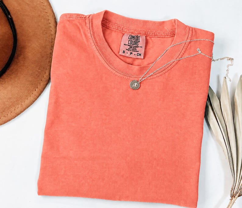 May include: A coral-colored short-sleeve t-shirt with a crew neckline. The interior neck label reads Comfort Colors, Heavyweight Garment Dye, 100% Cotton, Made in Honduras, S P CH. A thin silver-toned chain necklace with a small circular pendant rests on it.