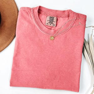 May include: A coral-colored short-sleeve t-shirt with a crew neckline and a Comfort Colors brand label inside the collar. A delicate gold-toned chain necklace with a small circular pendant rests on the fabric of the shirt.