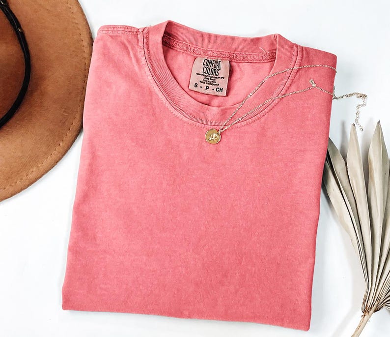 May include: A coral-colored short-sleeve t-shirt with a crew neckline and a Comfort Colors brand label inside the collar. A delicate gold-toned chain necklace with a small circular pendant rests on the fabric of the shirt.