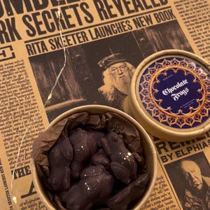 Chocolate frogs wax melts - wax melts -  Potter inspired wax melts  - wizards - witches - magic