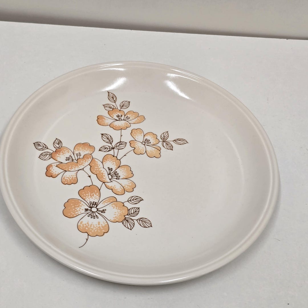 Vintage Biltons Orange Wild Rose Pattern Plate 9 5/8 Inches - Etsy