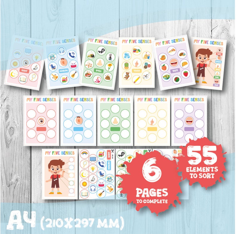Five Senses Sorting Activity, 5 Senses Classification Game ...