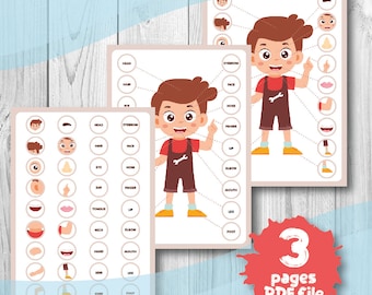 18 Body Parts Matching Activity Printable A4 Flashcards, Body Parts Matching Game, Printable Activity Body Parts, Body Parts Matching