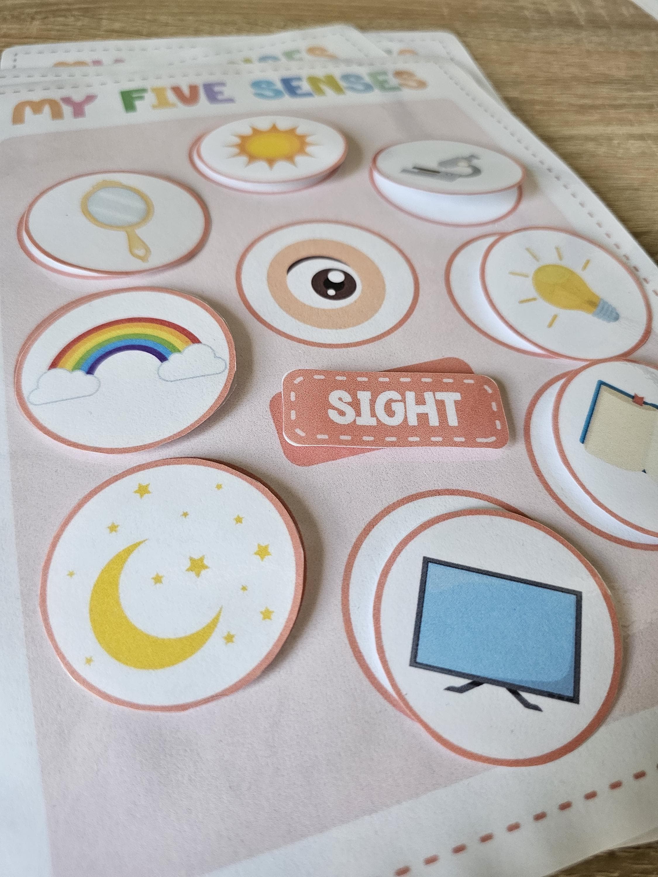 Five Senses Sorting Activity, 5 Senses Classification Game ...