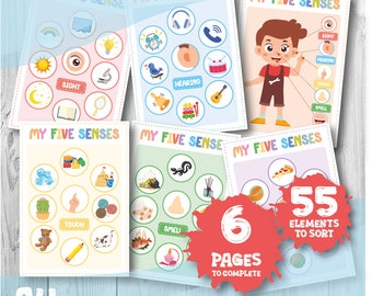 Fünf Sinne Sortieraktivität, 5 Sinne Einteilungsspiel, Kindergarten, Arbeitsblätter zum Arbeitsmaterial für den menschlichen Körper, Fleißige Taschen Idee, Montessor, Vorschule