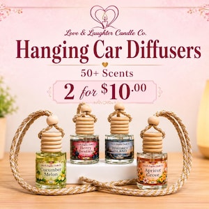 2 for 10 Hanging Car Diffusers Scents| 50+ Long Lasting Scents