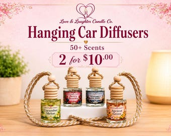 2 for 10 Hanging Car Diffusers Scents| 50+ Long Lasting Scents