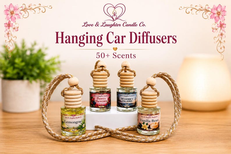 Single Hanging Car Diffusers - Etsy