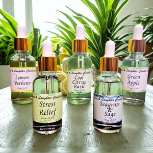 Car Diffuser Refill – 1oz Bottle, Fruity, Floral, Woodsy & More