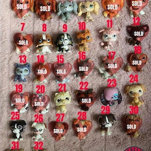 Petshop Chat Rare : Jeux Et Jouets