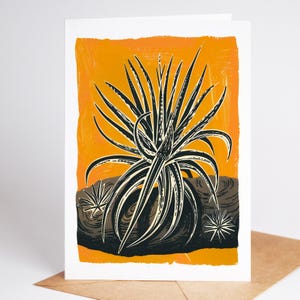Air plant folk art note card with silver curling leaves resting on driftwood