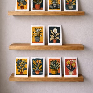 Ten houseplant note cards displayed on three wooden shelves against a grey wall