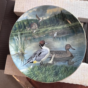 May include: Decorative plate featuring a serene lake scene with ducks, trees, and a small house. The plate has a gold rim and a detailed painting of ducks in a natural habitat. The plate is a collectible item.