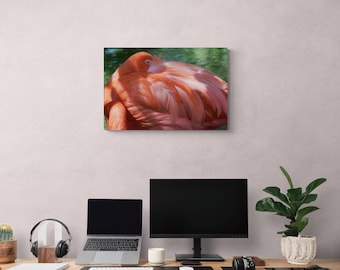 Napping Pink Flamingo Photograph: Calming Bird Wall Art