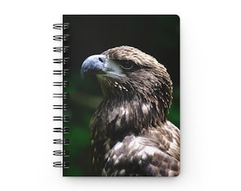 Young American Bald Eagle Spiral Notebook - Ruled Line Photo By Kim A. Bailey