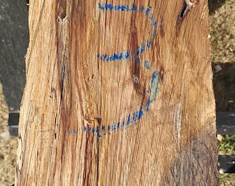 Spalted Oak Blank #3 – Figured Hardwood for Woodworking, Turning, Knife Scales, Craft Lumber