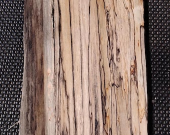 Spalted Maple Blank 16 | 17"x6"x1.25" |