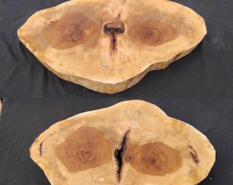 Pecan Wood Slabs – 30" x 20" x 2.5" Flattened Crotch for Furniture