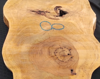 Pecan Wood Cookie Slab #8 | 34" x 17" x 2.25" | Flattened Live Edge Crotch for Furniture