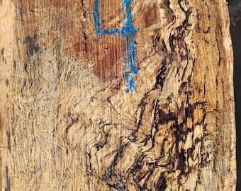Spalted Oak Blank #4 – Figured Hardwood for Woodworking, Turning, Knife Scales, Craft Lumber