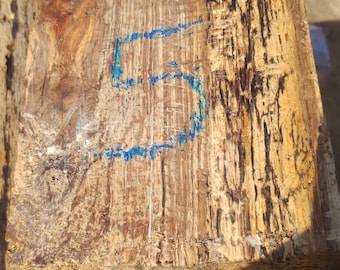 Spalted Oak Blank #5 – Figured Hardwood for Woodworking, Turning, Knife Scales, Craft Lumber