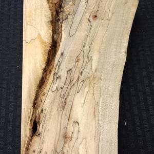 Spalted Maple Blank 12 | 7&quot;x24&quot; | Live Edge |