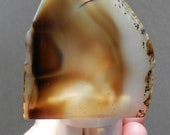 NL-155 Handcrafted Dendritic Agate Night Light