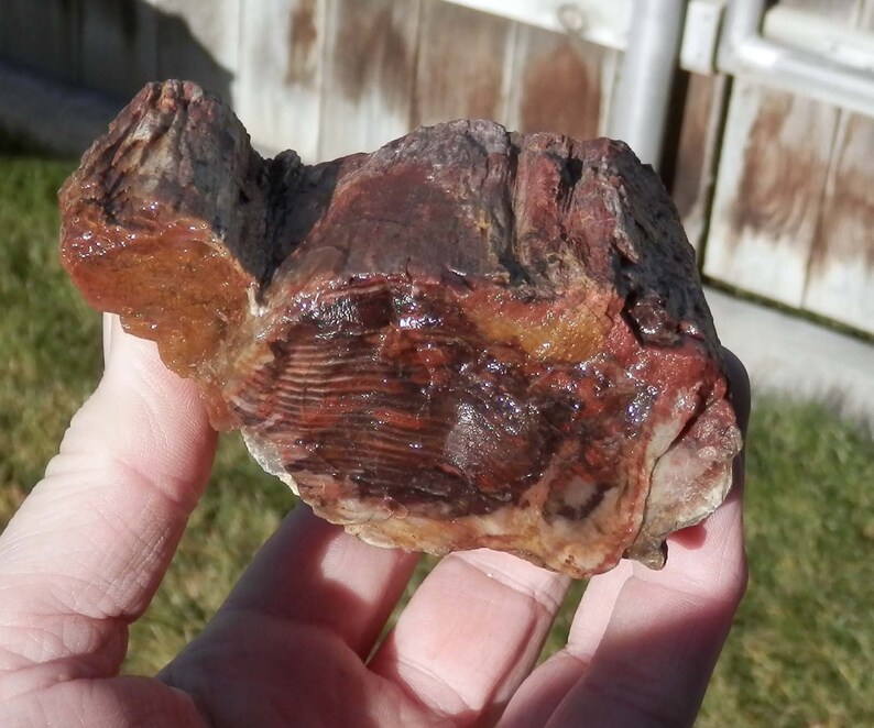 GB-50 Lapidary Slabbing Rough Decorative Rocks Box Lot
