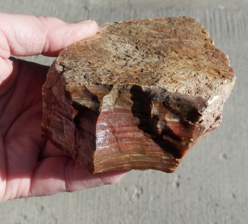 GB-50 Lapidary Slabbing Rough Decorative Rocks Box Lot