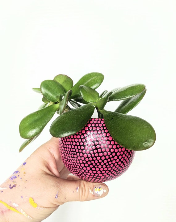 Magnetic planters hand painted ceramic magnetic planter hot pink dots on black READY TO SHIP