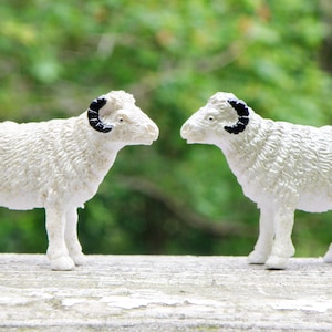 3 sheep - adorable miniatures for your terrarium