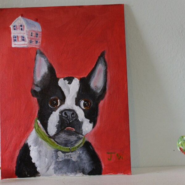 Boston Terrier