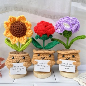 Thank you Gift Set-Handmade Crochet Sunflower/Rose/Carnation-Emotional Support-Thanksgiving gift-Back to school gift-Thank you for gift