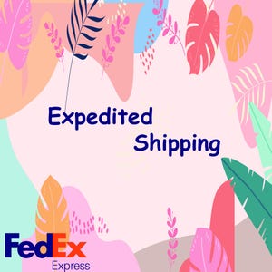 Expedited Shipping