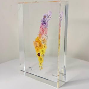 Blumenkarte von Israel, Acrylstück, Jüdische Wandkunst, Wohnkultur, gepresste Blumen, Weihnachtsgeschenke, Israelische Kunst, Jejuda, besonderes Geschenk