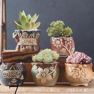 May include: A collection of five ceramic succulent planters in various colors and designs. One planter has the word "Garden" on it, and another says "Welcome". The planters are filled with different types of succulents.