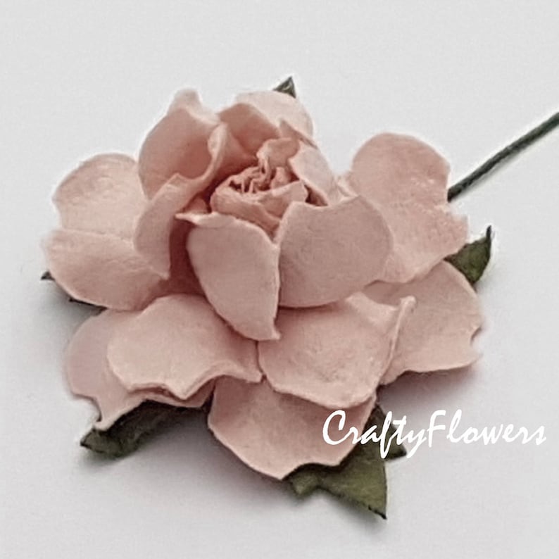 50 Pink Paper Flower Decoration Scrapbook Card Wedding Roses headpiece R21-32
