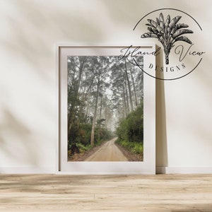 Bruny Island Forest Fog Tasmania Australia, Australian Landscape Original Photography - Digital Download Print Wall Art