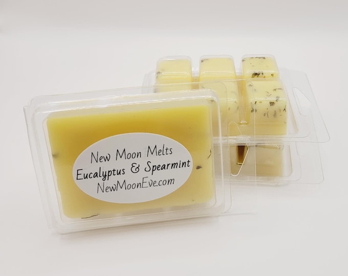 Eucalyptus & Spearmint 100% Beeswax Melts / Made for Any Wax Burner / Hand-Poured / Long-Lasting Cubes / No Dyes / Flameless Scent Option