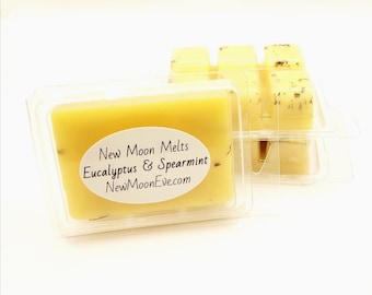Eucalyptus & Spearmint Beeswax Melts: For Any Wax Burner, Hand-Poured, Long-lasting Flameless Scent Option