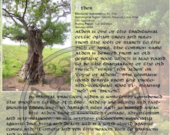 ALDER Tree MAGIC Properties, BOS Instant Download Page, WaND, Bark Scrolls, Book of Secrets, Glamerie Pages