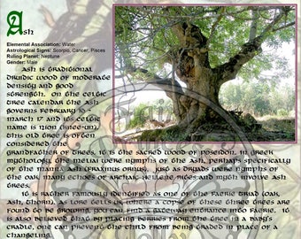 ASH Tree MAGIC Properties, BOS Instant Download Page, WaND, Bark Scrolls, Book of Secrets, Glamerie Pages