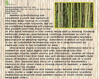 BAMBOO MAGIC Properties, BOS Instant Download Page, WaND, Bark Scrolls, Book of Secrets, Glamerie Pages