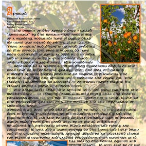 APRICOT Tree MAGIC Properties, BOS Instant Download Page, WaND, Bark Scrolls, Book of Secrets, Glamerie Pages image 1