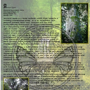 May include: A close-up of a page from a book about ancient kauri wood. The page features a detailed description of the wood's history, properties, and spiritual significance. The text includes the words "Ancient Kauri", "Aether", "Astrological Signs", "Ruling Planet", and "Gender".