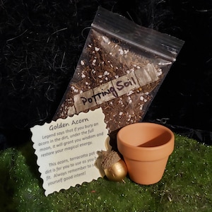 GOLDEN ACORN SPELL - Rejuvenate - Restore - Wisdom - Fairy Magic Kit, Pagan, Wicca, Glamour, DiY, Faerie Magic