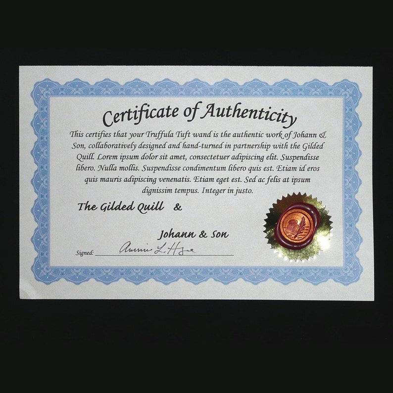 Accomplishment paragraph examples picture