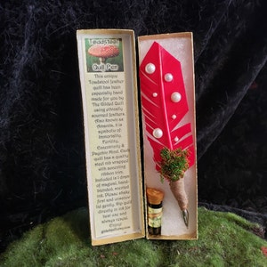 TOADSTOOL QUILL Pen and Grass Scented Ink SET - Immortality - Fertility - Psychic Mind - Eccentricity - Amanita Feather Pen