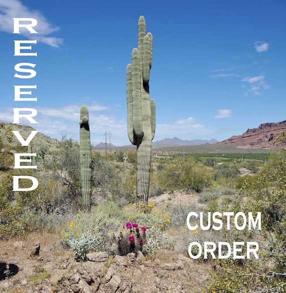 Custom order for Julia